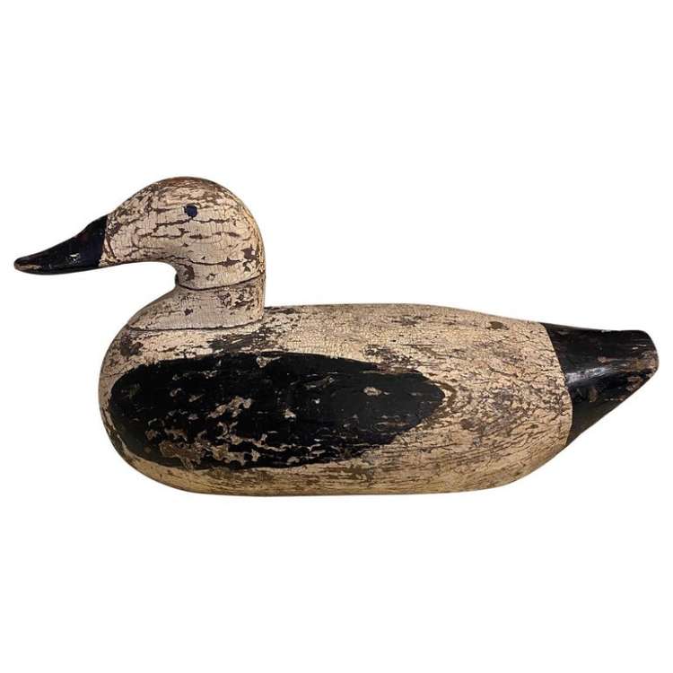 Classic Maine Eider Drake Decoy, circa 1920s