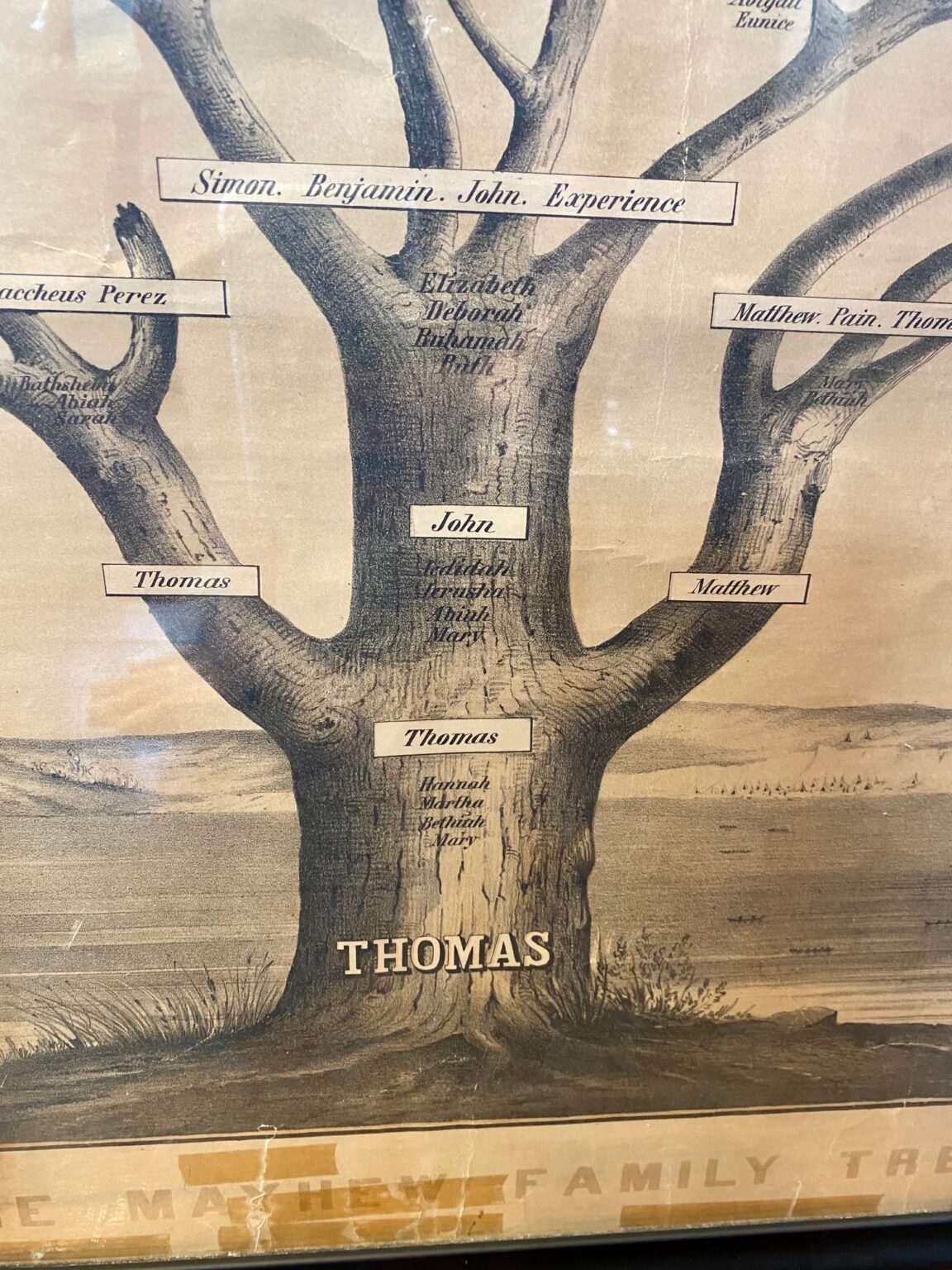 Very Rare 19th Century Mayhew Family Tree from Nantucket and Martha’s