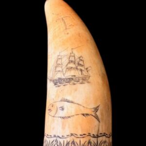 19th Century Scrimshaw Whale Tooth with Ship, Fish and More!
