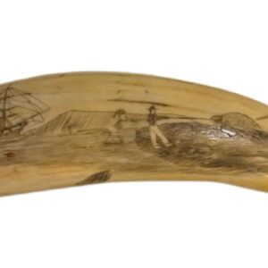 19th Century Sailor's Scrimshaw Whale Tooth Depicting Galapagos Tortoises, circa 1843